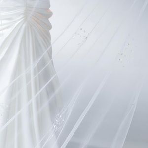 Erica Koesler  843-110" wedding Veil with robe stones and pearls